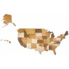 Nástěnné mapy Dřevěná mapa USA Puzzle Premium