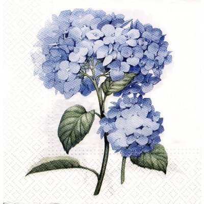 Ubrousek 33x33 cm Hortenzie modrá – Zboží Mobilmania