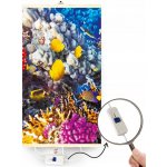 Trio T0589 Zahrada v Kyotu – Zbozi.Blesk.cz