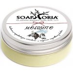 Soaphoria Mosquito univerzální balzám s repelentním účinkem 50 ml – Zboží Mobilmania