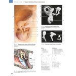 Anatomie člověka - fotografický atlas - 9. vydání - Johannes W. Rohen, Chihiro Yokochi, Elke Lütjen-Drecoll – Hledejceny.cz