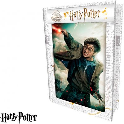 PRIME 3D Harry Potter: Harry 300 dílků