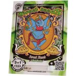 Sweet Seeds Sweet Skunk Fast Version semena neobsahují THC 3 ks – Zbozi.Blesk.cz