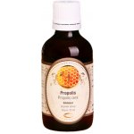 Green idea Propolis tinktura 100 ml – Hledejceny.cz