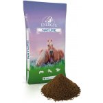 ENERGY´S Omega extrudované lněné semínko 20 kg – Sleviste.cz