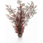 BiOrb Sea Fan karmínová 39 cm – Hledejceny.cz