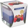 Svíčka Bispol Aura Forest Fruits 170 g