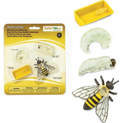Safari Životní cyklus Včela – Zboží Mobilmania