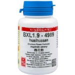 Sinecura BXL 1.9 huaihuasan 60 tablet – Hledejceny.cz