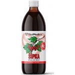 EkoMedica SK Šípková šťáva 500 ml – Hledejceny.cz