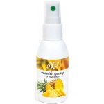 Hristina přírodní osvěžovač dechu ANANAS 50 ML – Zbozi.Blesk.cz