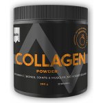 PULS nutrition Collagen orange 300 g – Hledejceny.cz
