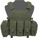 Warrior Assault Systems Nosič plátů Elite Ops DCS 6x sumka M4 oliva – Zboží Dáma