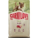 Carnilove True Fresh Puppies Duck 4 kg – Hledejceny.cz