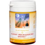 TCM Herbs Zklidnění zčeřené hladiny 062 100 kuliček – Hledejceny.cz