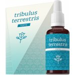 Tribulus terestris Forte 30 ml – Hledejceny.cz