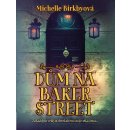 Kniha D ům na Baker Street
