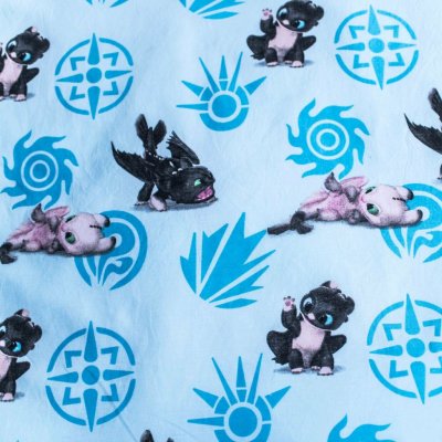 Jerry Fabrics povlečení Jak Vycvičit Draka 3 Babies 100 x 135 cm 40 x 60 cm – Zboží Dáma