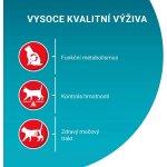 Purina ONE Bifensis sterilcat losos a pšenice 0,8 kg – Sleviste.cz