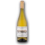 Pivnica Radošina Radošinský Klevner 2023 D.S.C. 13,5% 0,75 l (holá láhev) – Hledejceny.cz
