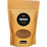 Hanoju Bio Reishi prášek 100 g – Hledejceny.cz
