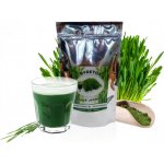 Bio-Detox mladý ječmen 250 g – Hledejceny.cz