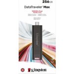 Kingston DataTraveler Max 256GB DTMAX/256GB – Hledejceny.cz