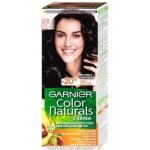 Garnier Color Naturals 2.0 jemně černá – Zboží Mobilmania