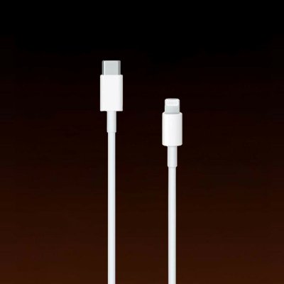 Apple MM0A3ZM/A USB-C / Lightning, 1m – Hledejceny.cz