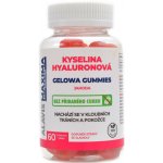 ALAVIS MAXIMA Kyselina Hyaluronová GUMMIES jahoda 60 žvýkacích tablet – Hledejceny.cz