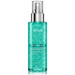 Anua PDRN Hyaluronic Acid Hydrating Capsule Mist 100 ml – Zboží Mobilmania