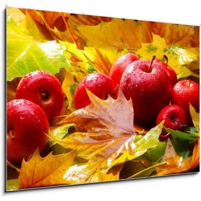 Obraz 1D - 100 x 70 cm - Harvest. Autumn still life with red apples and leaves Sklizeň. Podzimní zátiší s červenými jablky a listy – Hledejceny.cz