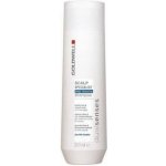Goldwell Dualsenses Deep Cleansing Shampoo 250 ml – Zboží Mobilmania