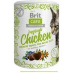 Brit Care Cat Snack Superfruits Chicken 100 g – Sleviste.cz
