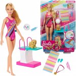 Barbie Dreamhouse Adventures plavkyně – Zboží Dáma