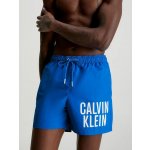 Calvin Klein Underwear plavky modré – Zboží Dáma