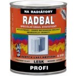 Barvy A Laky Hostivař Radbal S2119 speciální barva na radiátory, 6003 slonová kost, 600 ml – HobbyKompas.cz