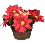 Nohel Garden Květina GERBERA PODZIM aranžmá v misce 25cm – Hledejceny.cz