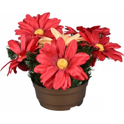 Nohel Garden Květina GERBERA PODZIM aranžmá v misce 25cm – Hledejceny.cz