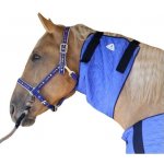 TECHNICHE Chladící nákrčník HyperKewl Horse Neck modrý – Hledejceny.cz