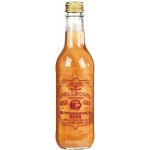 Potions Cauldron třpytivý máslový ležák bez cukru 330 ml – Hledejceny.cz