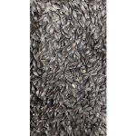 Fauna Hradil Černá slunečnice 20 kg – Zboží Dáma