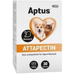 Aptus Attapectin veterinární tablety 30 – HobbyKompas.cz Aptus Attapectin veterinární tablety 30 – HobbyKompas.cz