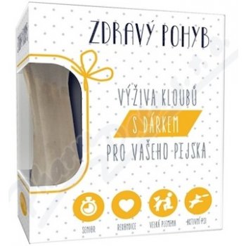 Proactivet Zdravý pohyb 90 tbl