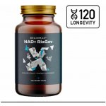BrainMax NAD+ RiaGev 750 mg 100 rostlinných kapslí – Hledejceny.cz