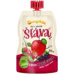 Ovocnák Mošt jablko a lesní ovoce 200 ml – Zboží Dáma Ovocnák Mošt jablko a lesní ovoce 200 ml – Zboží Dáma