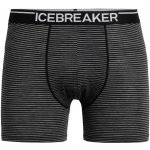 Icebreaker Mens Anatomica Boxers Jet HTHRBlack – Hledejceny.cz