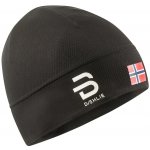 Bjorn Daehlie Mesh black – Hledejceny.cz