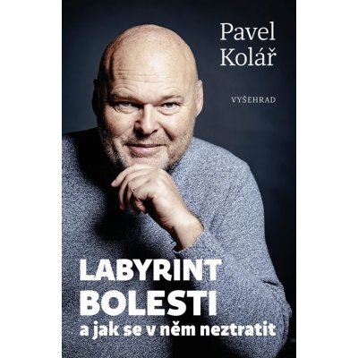 Labyrint bolesti - Pavel Kolář – Hledejceny.cz