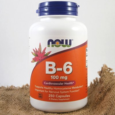 Now Vitamin B6 Pyridoxin 100 mg x 250 kapslí – Zboží Mobilmania